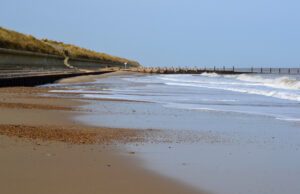 A day out at the beach