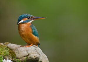 Surrounded by nature