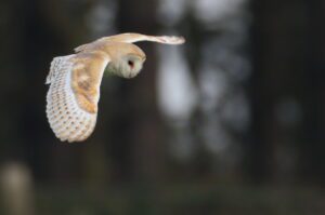 Surrounded by nature