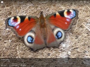 Surrounded by nature