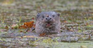 Surrounded by nature