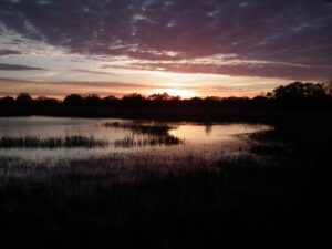 Broads National Park